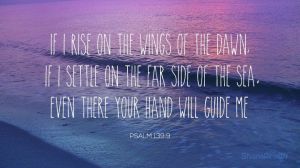 04aff88bcfcf09880056a0cb5b16dafc